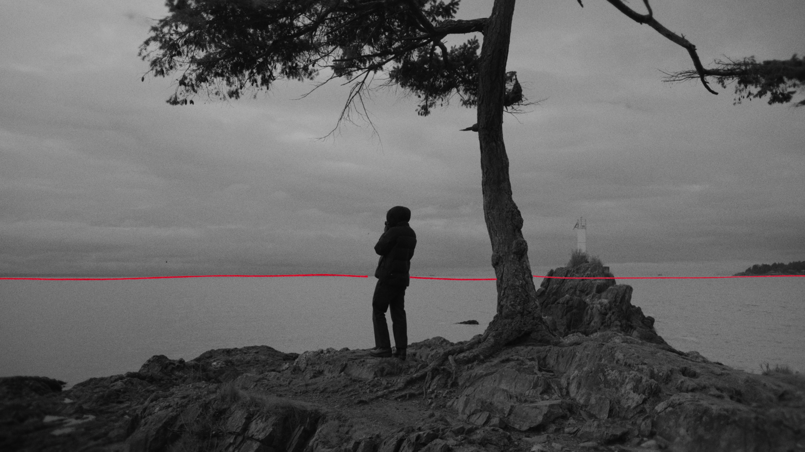 Wide Project Image Layout 4